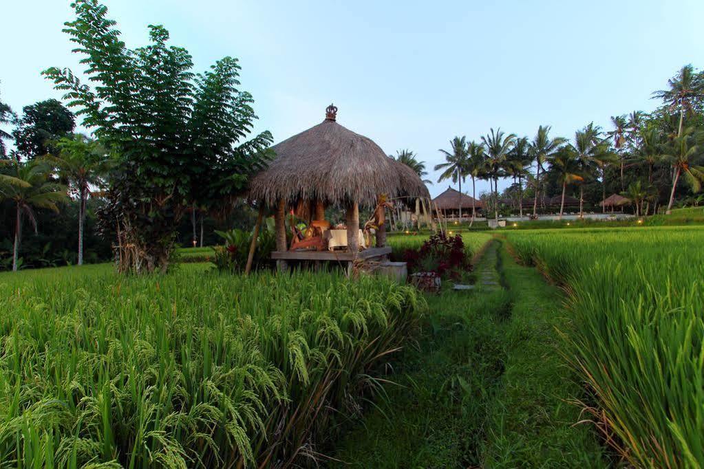 Kencana Ubud By Mahaputra Екстериор снимка